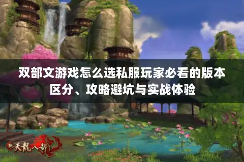 双部文游戏怎么选私服玩家必看的版本区分、攻略避坑与实战体验 双部文游戏怎么选私服玩家必看的版本区分、攻略避坑与实战体验