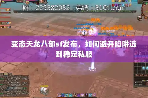 变态天龙八部sf发布，如何避开陷阱选到稳定私服