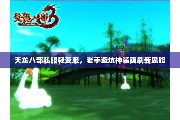 天龙八部私服轻变服，老手避坑神装爽刷新思路