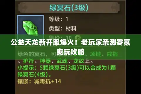 公益天龙新开服爆火！老玩家亲测零氪爽玩攻略