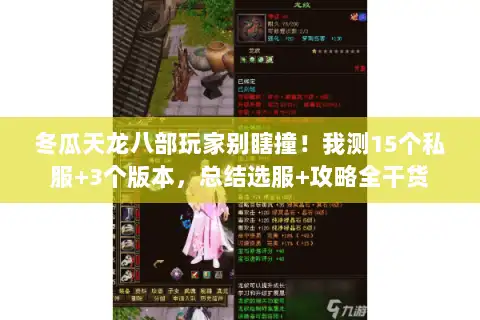 冬瓜天龙八部玩家别瞎撞！我测15个私服+3个版本，总结选服+攻略全干货