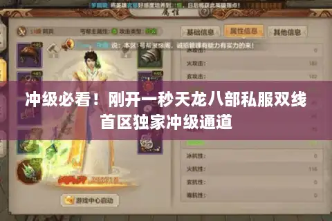 冲级必看！刚开一秒天龙八部私服双线首区独家冲级通道