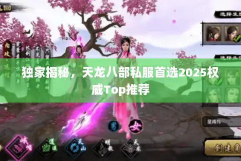 独家揭秘，天龙八部私服首选2025权威Top推荐