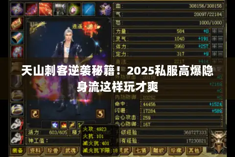 天山刺客逆袭秘籍!2025私服高爆隐身流这样玩才爽 天山刺客逆袭秘籍!2025私服高爆隐身流这样玩才爽