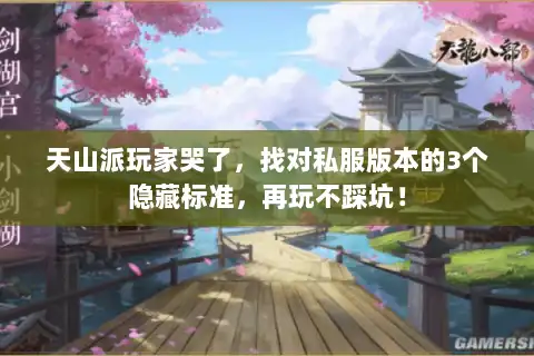 天山派玩家哭了，找对私服版本的3个隐藏标准，再玩不踩坑！