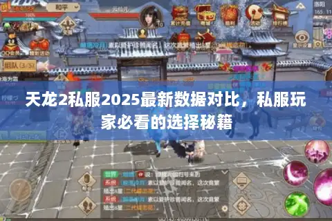 天龙2私服2025最新数据对比，私服玩家必看的选择秘籍