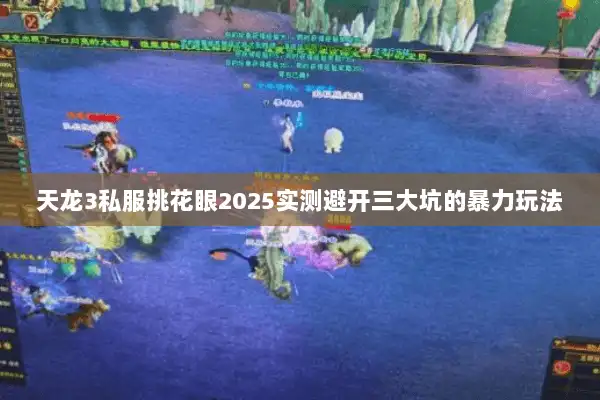 天龙3私服挑花眼2025实测避开三大坑的暴力玩法