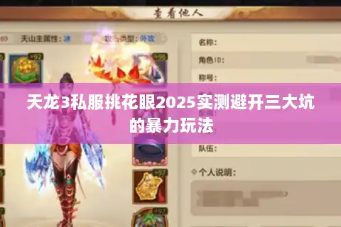 天龙3私服挑花眼2025实测避开三大坑的暴力玩法