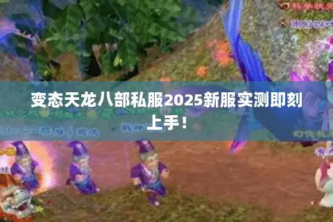 变态天龙八部私服2025新服实测即刻上手！