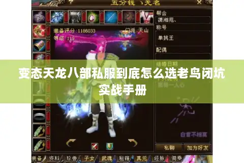 变态天龙八部私服到底怎么选老鸟闭坑实战手册 变态天龙八部私服到底怎么选老鸟闭坑实战手册