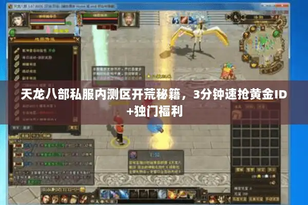 天龙八部私服内测区开荒秘籍，3分钟速抢黄金ID+独门福利