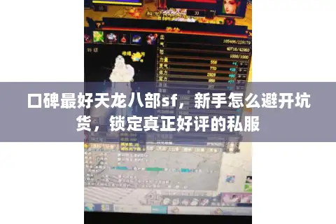 口碑最好天龙八部sf,新手怎么避开坑货,锁定真正好评的私服 口碑最好天龙八部sf,新手怎么避开坑货,锁定真正好评的私服