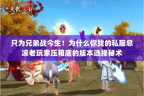 只为兄弟战今生！为什么你找的私服总凉老玩家压箱底的版本选择秘术