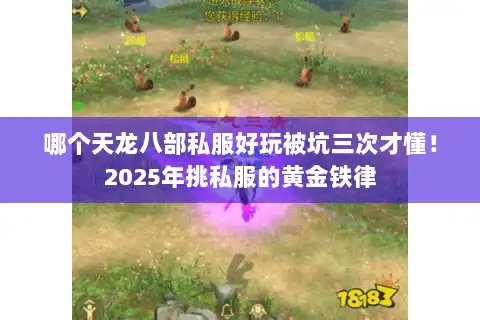 哪个天龙八部私服好玩被坑三次才懂！2025年挑私服的黄金铁律