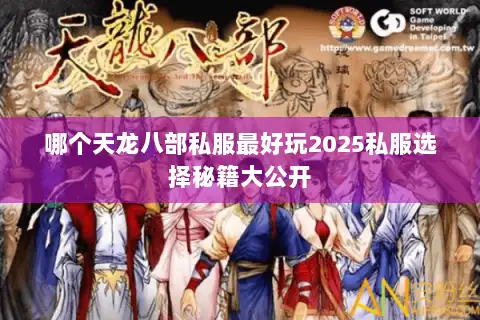 哪个天龙八部私服最好玩2025私服选择秘籍大公开 哪个天龙八部私服最好玩2025私服选择秘籍大公开