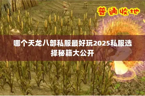 哪个天龙八部私服最好玩2025私服选择秘籍大公开 哪个天龙八部私服最好玩2025私服选择秘籍大公开