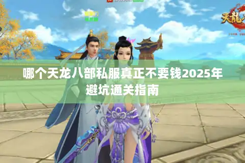哪个天龙八部私服真正不要钱2025年避坑通关指南 哪个天龙八部私服真正不要钱2025年避坑通关指南