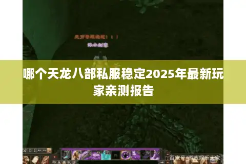 哪个天龙八部私服稳定2025年最新玩家亲测报告