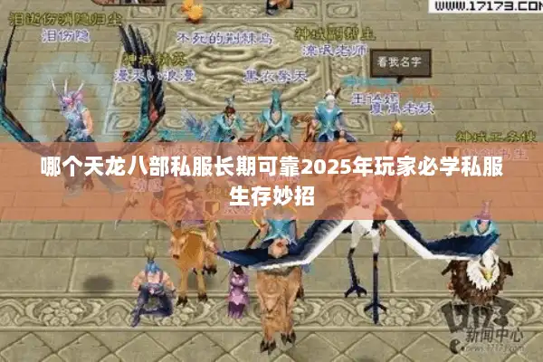 哪个天龙八部私服长期可靠2025年玩家必学私服生存妙招