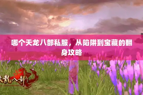 哪个天龙八部私服，从陷阱到宝藏的翻身攻略