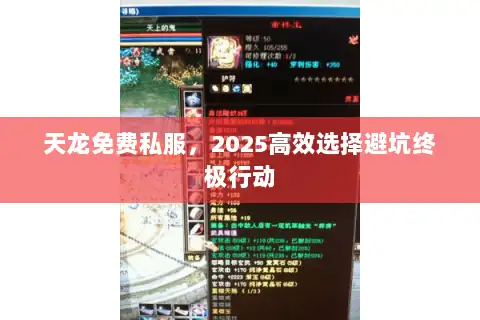天龙免费私服，2025高效选择避坑终极行动
