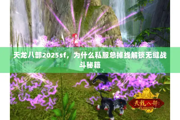 天龙八部2025sf，为什么私服总掉线解锁无缝战斗秘籍