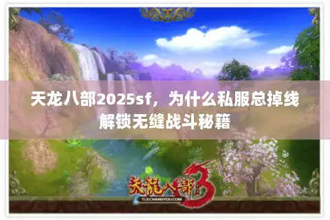 天龙八部2025sf，为什么私服总掉线解锁无缝战斗秘籍