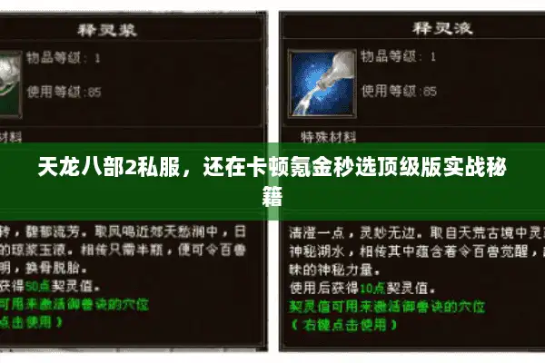 天龙八部2私服，还在卡顿氪金秒选顶级版实战秘籍