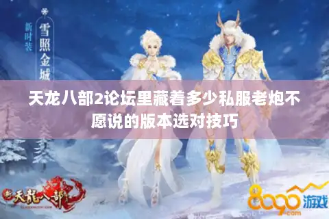 天龙八部2论坛里藏着多少私服老炮不愿说的版本选对技巧 天龙八部2论坛里藏着多少私服老炮不愿说的版本选对技巧