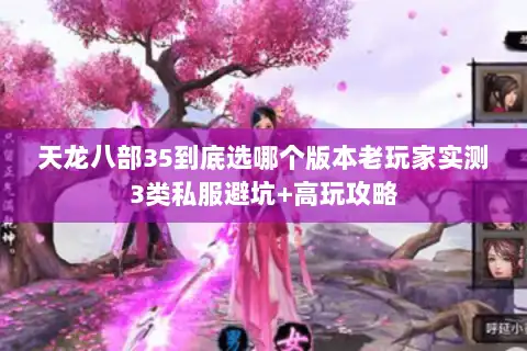 天龙八部35到底选哪个版本老玩家实测3类私服避坑+高玩攻略