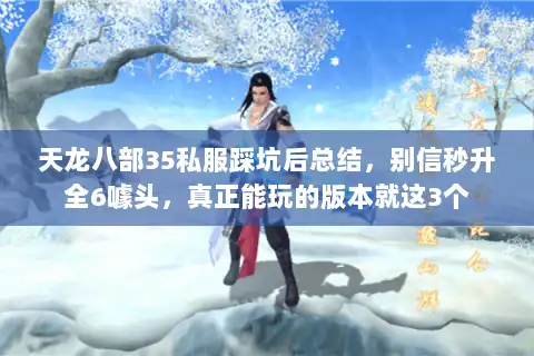 天龙八部35私服踩坑后总结，别信秒升全6噱头，真正能玩的版本就这3个
