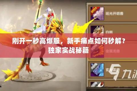 刚开一秒高爆服，新手痛点如何秒解？独家实战秘籍