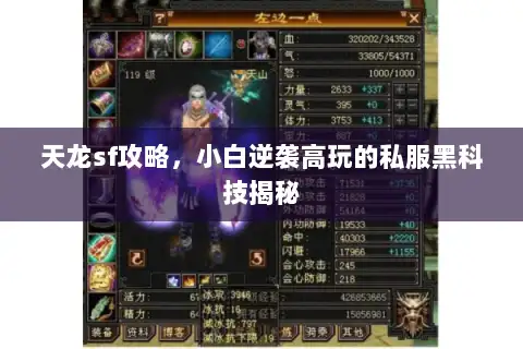 天龙sf攻略，小白逆袭高玩的私服黑科技揭秘