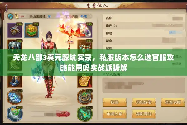 天龙八部3真元踩坑实录，私服版本怎么选官服攻略能用吗实战派拆解