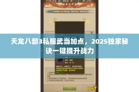天龙八部3私服武当加点，2025独家秘诀一键提升战力