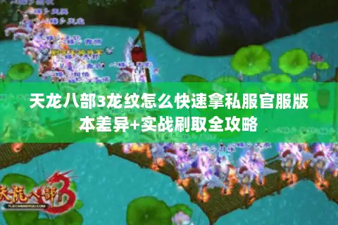 天龙八部3龙纹怎么快速拿私服官服版本差异+实战刷取全攻略 天龙八部3龙纹怎么快速拿私服官服版本差异+实战刷取全攻略