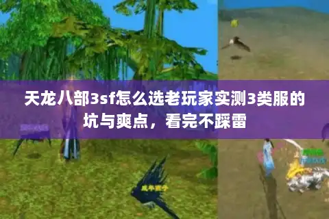 天龙八部3sf怎么选老玩家实测3类服的坑与爽点,看完不踩雷 天龙八部3sf怎么选老玩家实测3类服的坑与爽点,看完不踩雷