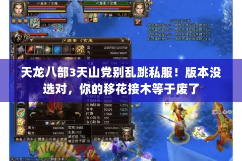 天龙八部3天山党别乱跳私服！版本没选对，你的移花接木等于废了