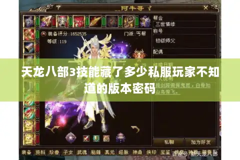 天龙八部3技能藏了多少私服玩家不知道的版本密码
