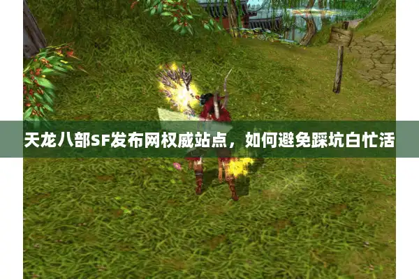 天龙八部SF发布网权威站点，如何避免踩坑白忙活