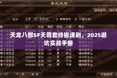 天龙八部SF天尊套终极速刷，2025避坑实战手册