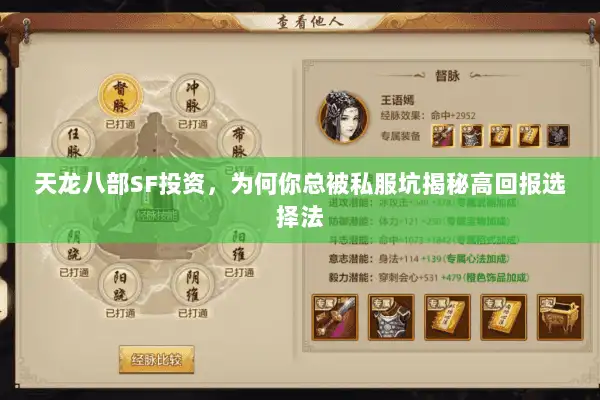 天龙八部SF投资，为何你总被私服坑揭秘高回报选择法