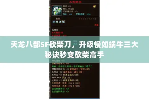 天龙八部SF砍柴刀，升级慢如蜗牛三大秘诀秒变砍柴高手