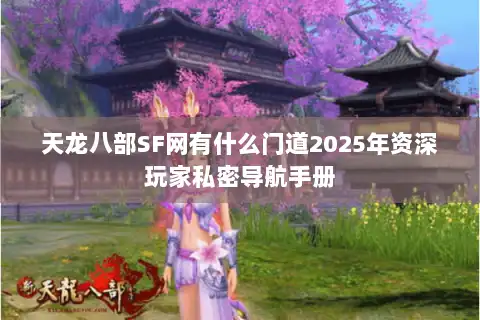 天龙八部SF网有什么门道2025年资深玩家私密导航手册