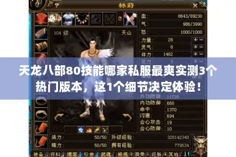 天龙八部80技能哪家私服最爽实测3个热门版本，这1个细节决定体验！