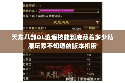 天龙八部OL逍遥技能到底藏着多少私服玩家不知道的版本机密 天龙八部OL逍遥技能到底藏着多少私服玩家不知道的版本机密