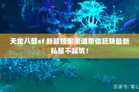 天龙八部sf 新颖独家渠道带你玩转最新私服不踩坑！