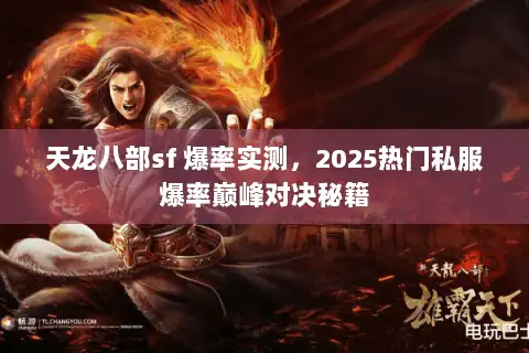 天龙八部sf 爆率实测，2025热门私服爆率巅峰对决秘籍
