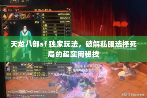 天龙八部sf 独家玩法，破解私服选择死局的超实用秘技
