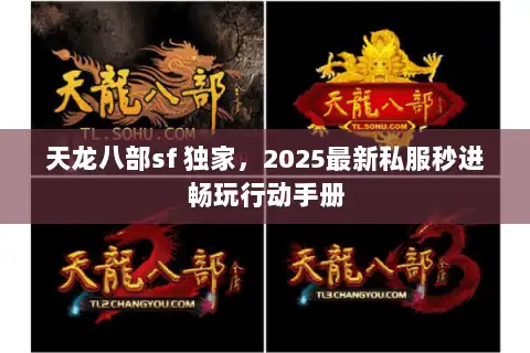 天龙八部sf 独家，2025最新私服秒进畅玩行动手册